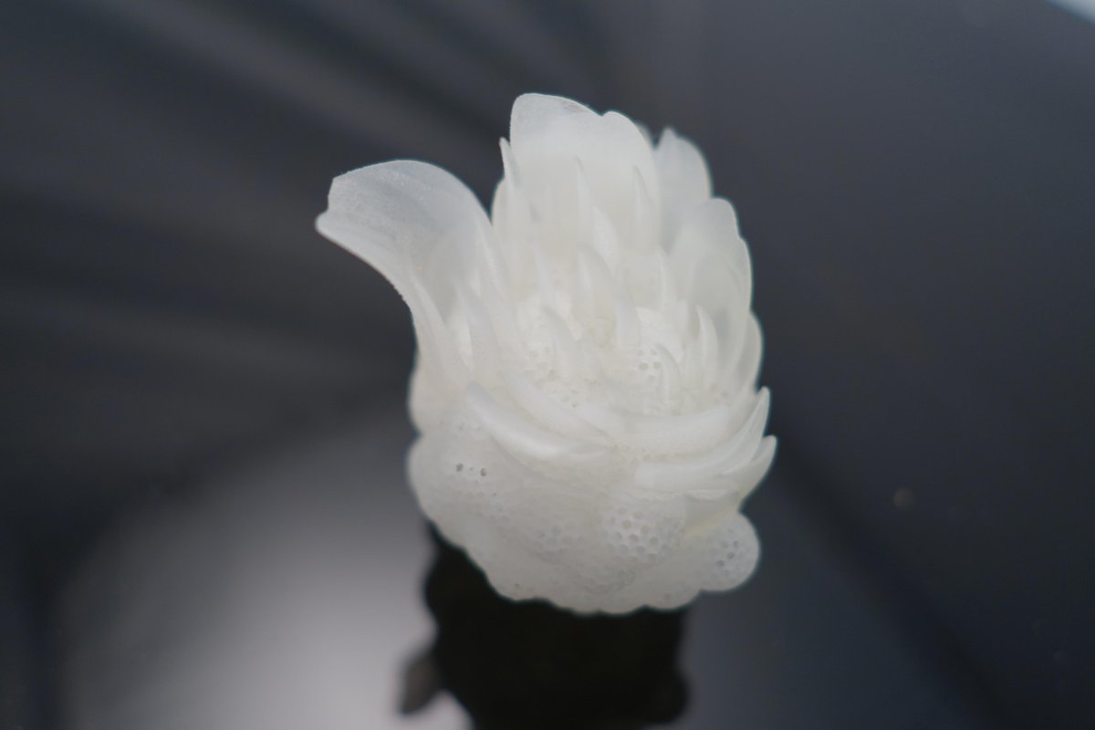 more from <a href="/MieMelis/">Anne-Mie Melis</a>