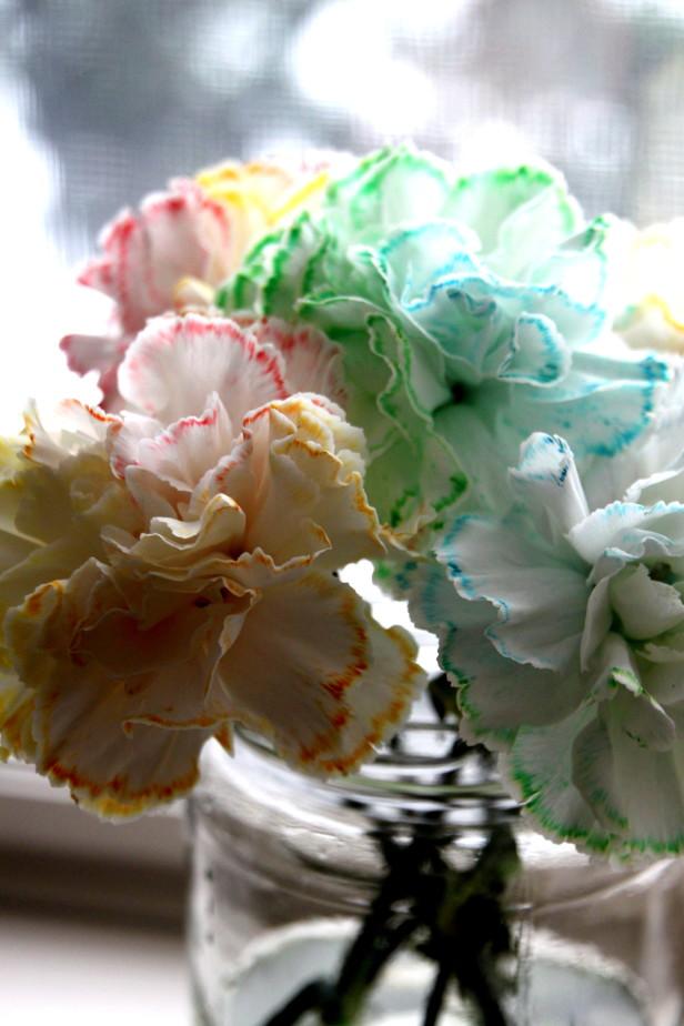 Turn white carnations into rainbow carnations! hg.tv/38rmj