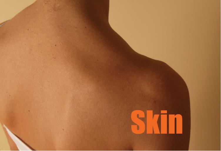 Word of the day -> "Skin" : peau #wordoftheday #anglais #excelangues #Lille