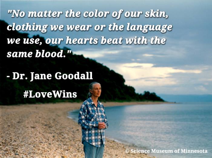 lbpaints's tweet image. Have a good weekend!