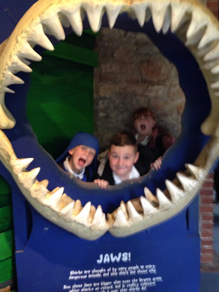 Brynhyfryd Juniors tweet media