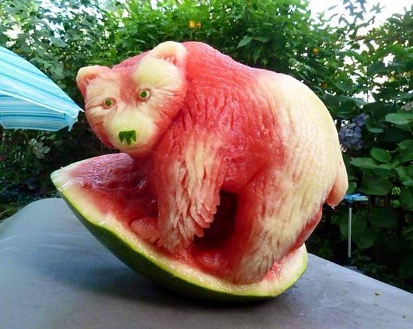 Elverojaguar's tweet photo. What a Melon Bear .... !!? 🍉🍉🍉🍉
🐾🐾🐾🐾🐾 http://t.co/xIQGyU7rc5
