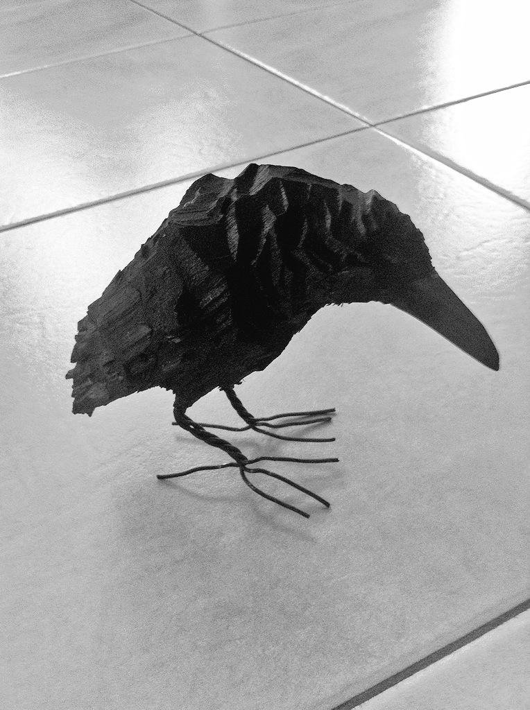 philippedaamen's tweet photo. @eksturstore hij is geweldig! #crow http://t.co/HpvXscWjRZ