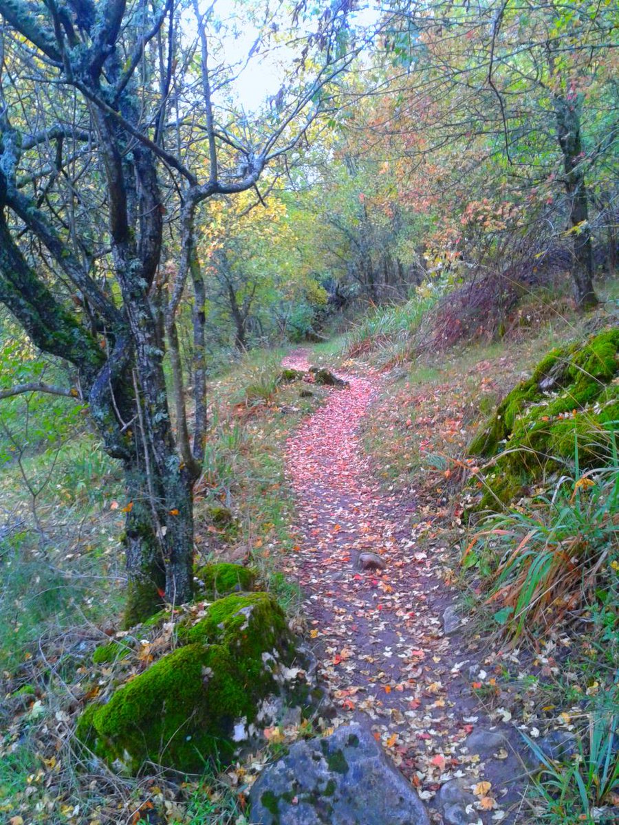 TallerEntropia's tweet photo. DOM28.#Senderismo "Misterioso #MonasterioBonaval".20€ #naturaleza #ruta #excursion #ociomadrid http://t.co/hxglU9XmR2 http://t.co/8VjQR3MbxM