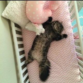 febiolaagnes821's tweet photo. http://t.co/PpdPt47QS0