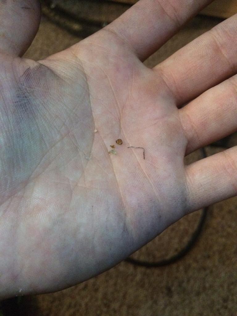 Baylor Cycling tweet media