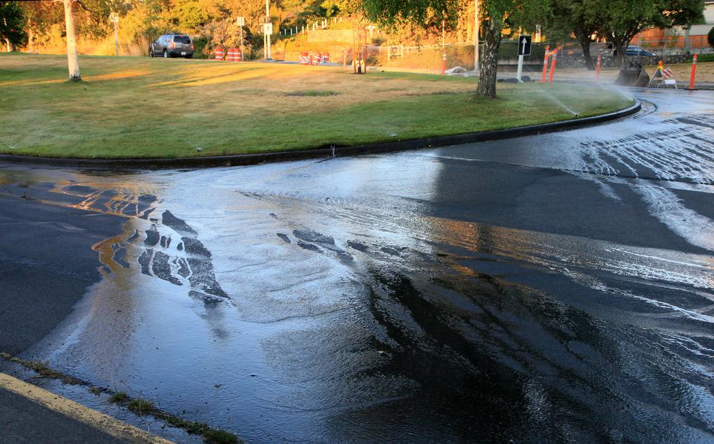 VibrantVictoria's tweet photo. Water restrictions? What water restrictions? @CRD_BC @SaanichParksRec http://t.co/QDIB8LP21A #yyj http://t.co/yWHiGbv7mS