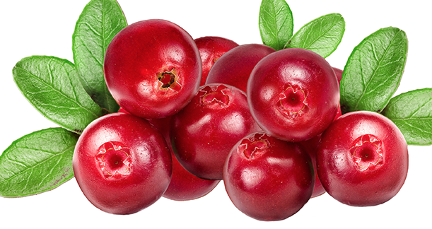 OcioUltimate's tweet photo. 12 alimentos que frenan la oxidación (anticancerígenos) http://t.co/uRqQXhVFjB http://t.co/Bq8JFyAJtI