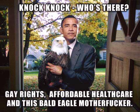 omglazerkittens's tweet photo. #ThanksObama http://t.co/zDfljZAH50