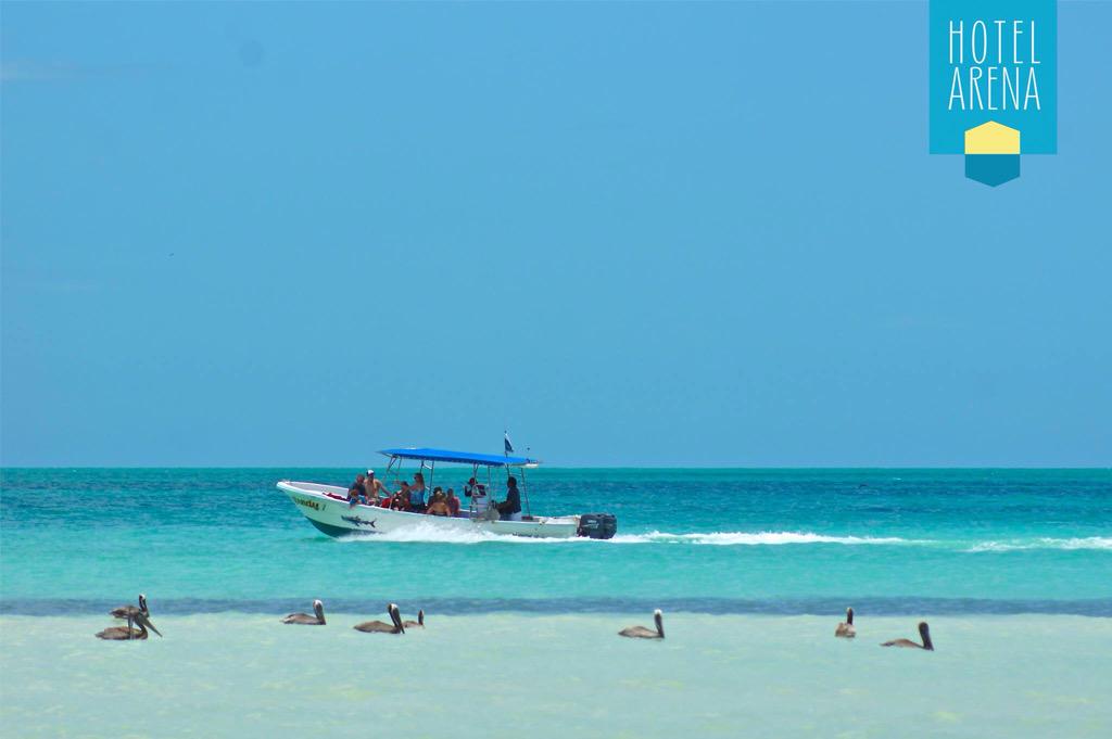 HArenaHolbox's tweet photo. No dejes de soñar../ Never stop dreaming... #HappyFriday #FelizViernes #LoveMeRight http://t.co/3qSmfXw9vD