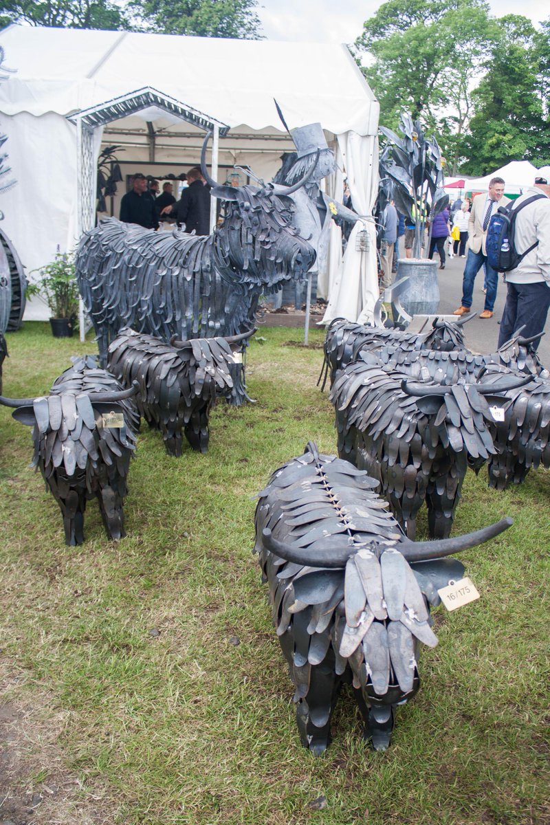 Galbraith_Group's tweet photo. This time last week we were enjoying @ScotlandRHShow. See our album at
https://t.co/UcP9snfFSK #rhs2015 #moohoosive http://t.co/xYWnbS9HQF