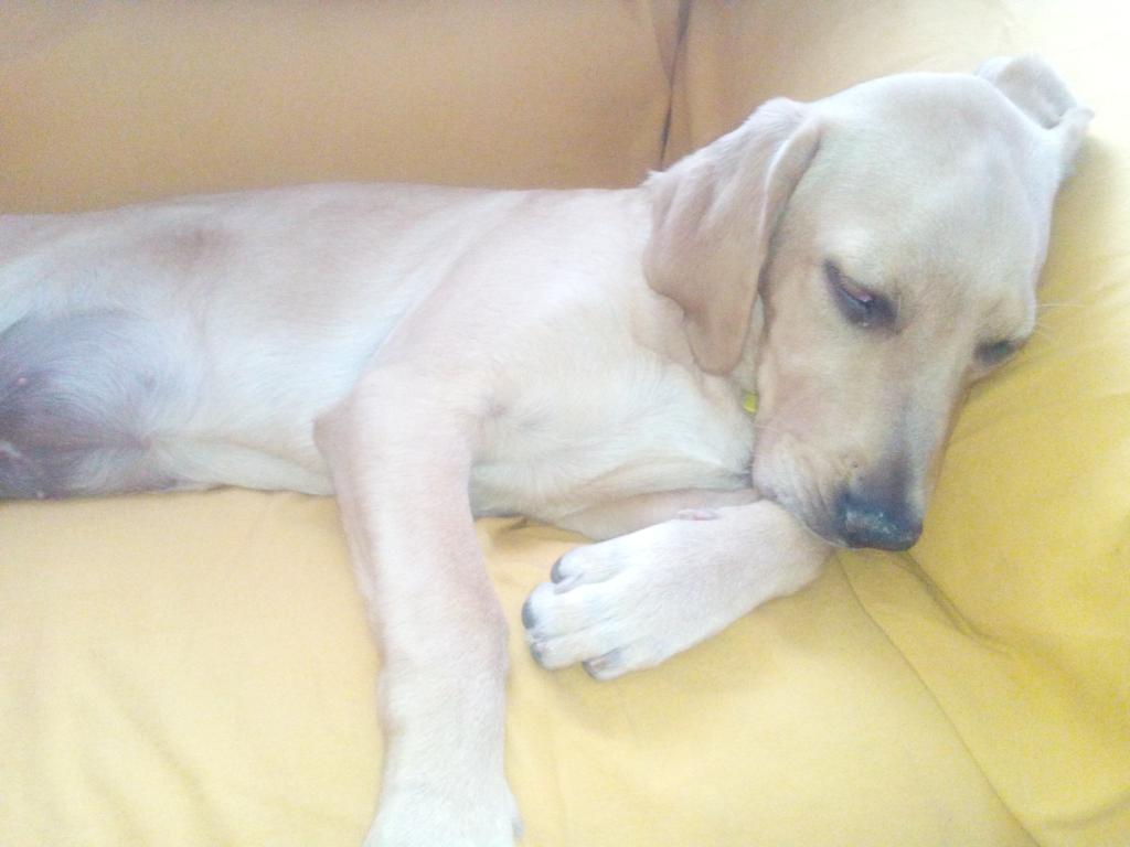 chikiminnie's tweet photo. Me quitais el aire y..... @yolimeryou http://t.co/SvDwpBxE9I