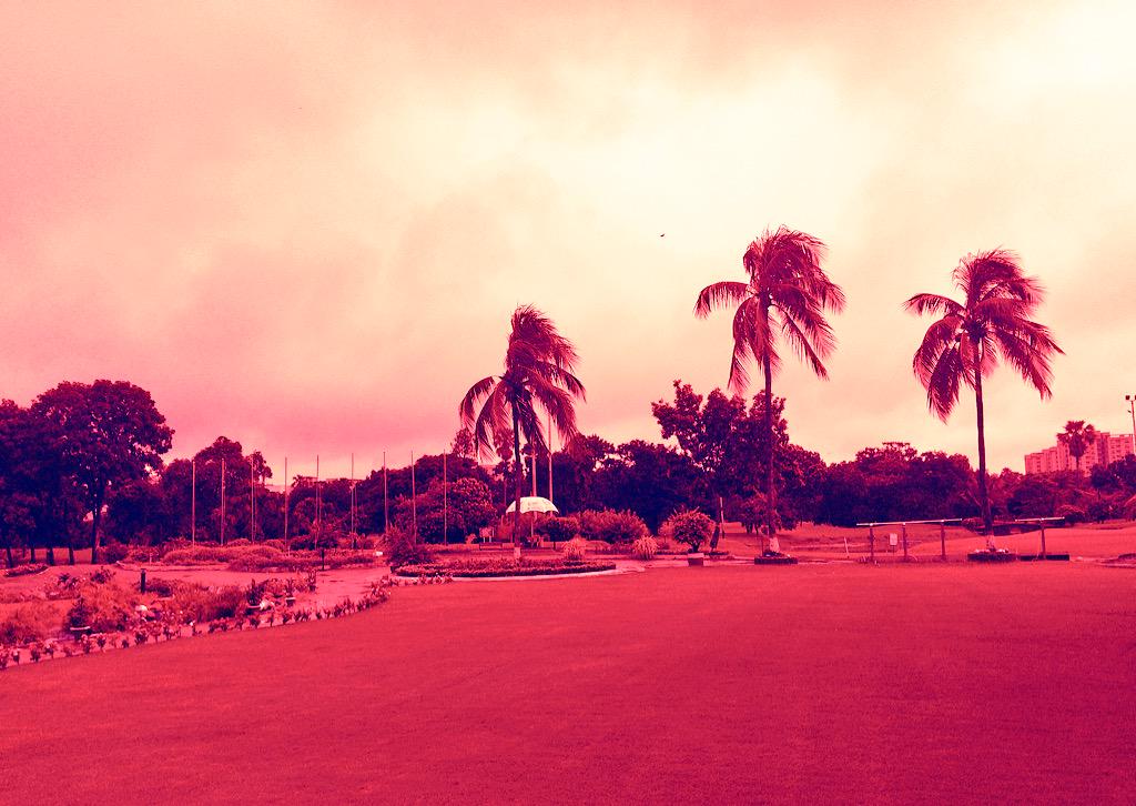 Mainul Arif tweet media