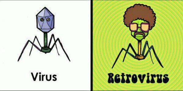 pild0rilla's tweet photo. LOL #sciencehumor RT @microBIOblog: Esto es un retrovirus #microMOOC :-) http://t.co/PlicNgSMnh