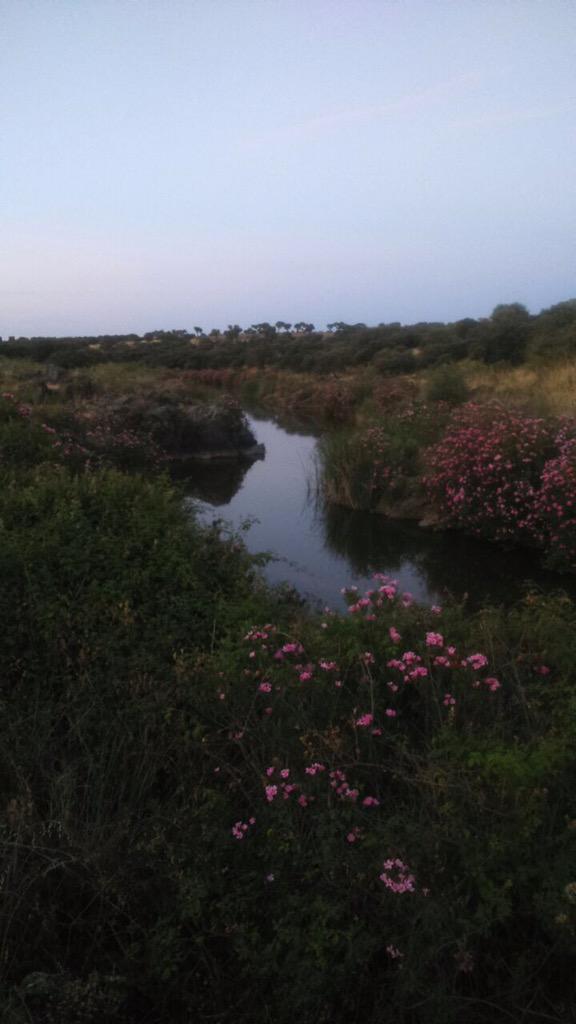 hispanoxtreme's tweet photo. Un poco de agua para aliviar la calor de Extremadura! RECORRIDO HISPANO XTREME 19/9/2015. http://t.co/lMkkmukTtI