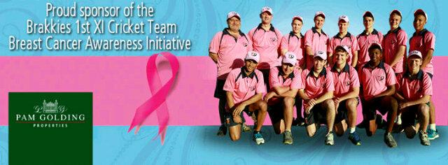 Looking for sponsors to aid us in our Pink Drive fundraising campaign