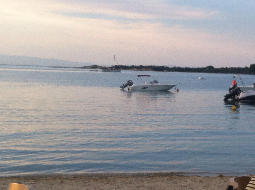 Harry Mitsidis tweet media