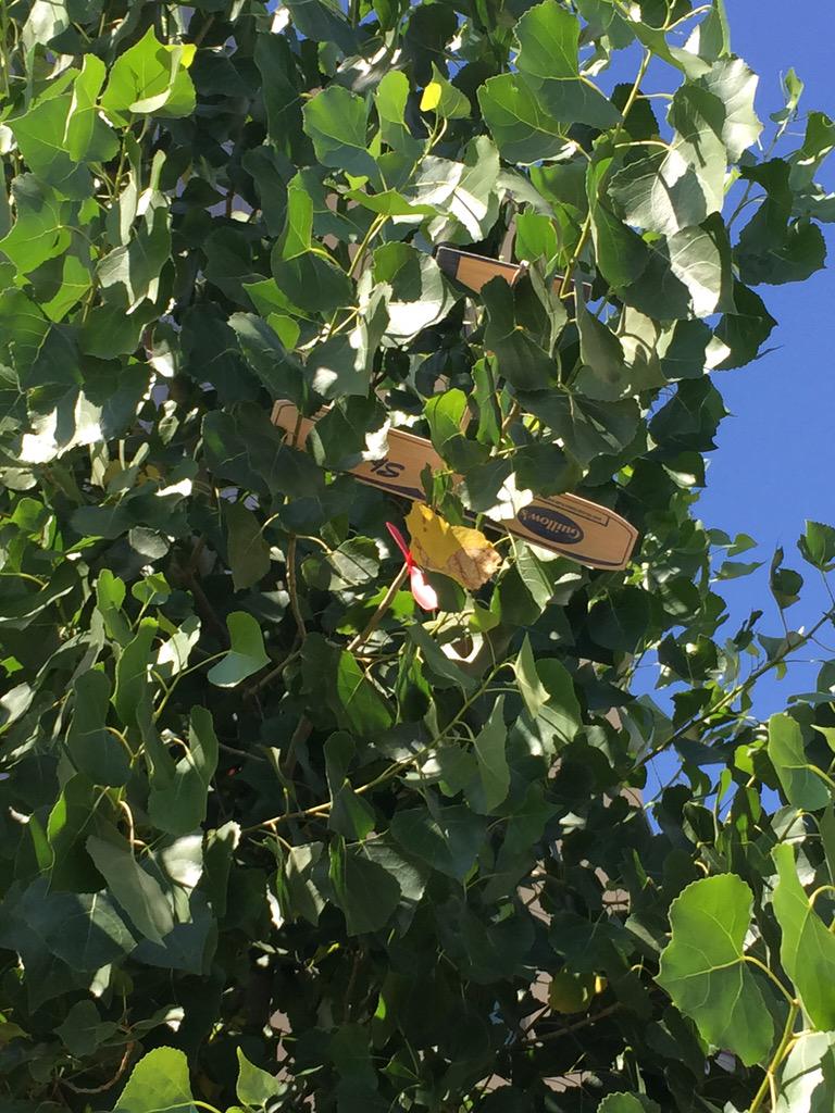 Thank you to my teammates that helped rescue my plane #teamE15