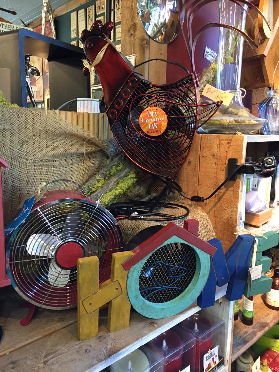 Need to stay cool during the heatwave? Check out our fun fans to get a breeze going in your home!