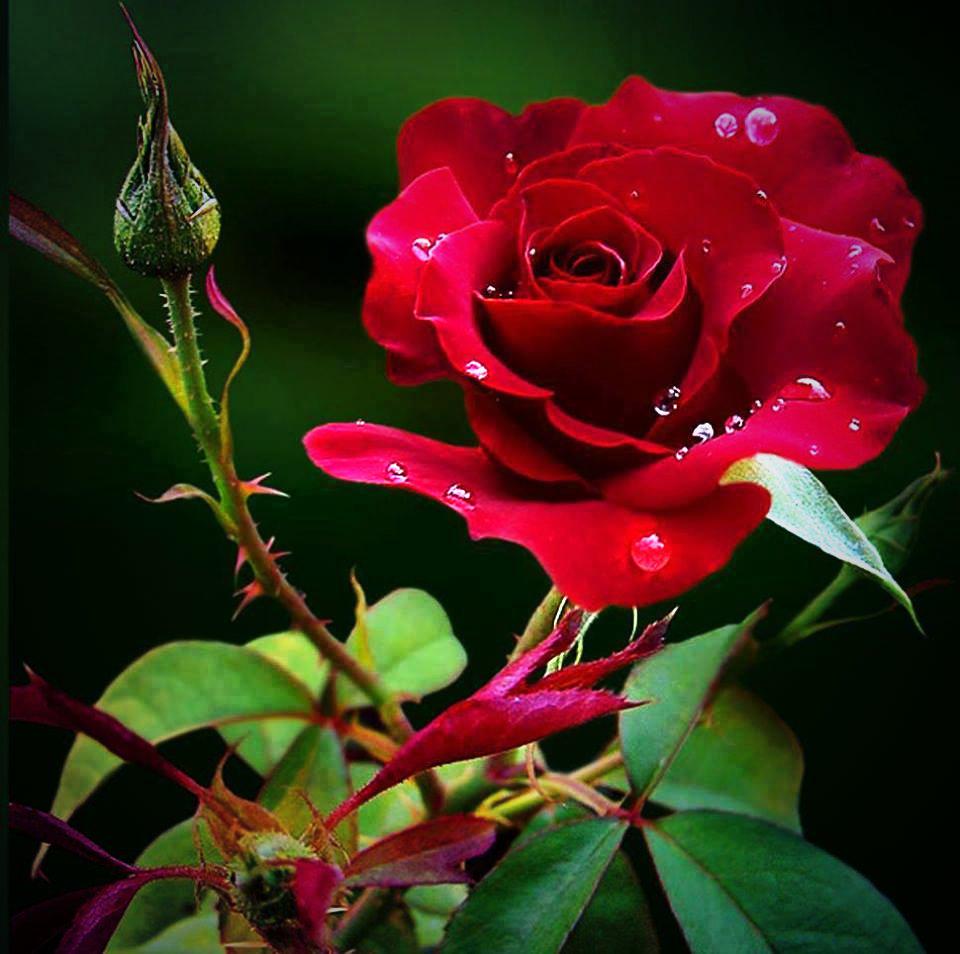 sankama124's tweet photo. @HoneyyGoldd_ http://t.co/imuvkMLPTl