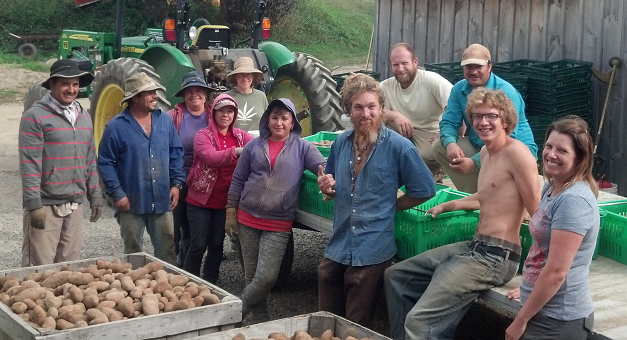 WindflowerFarm's tweet photo. @WindflowerFarm is now on Twitter! #CSA #Windflower http://t.co/6e6WVUeNyo