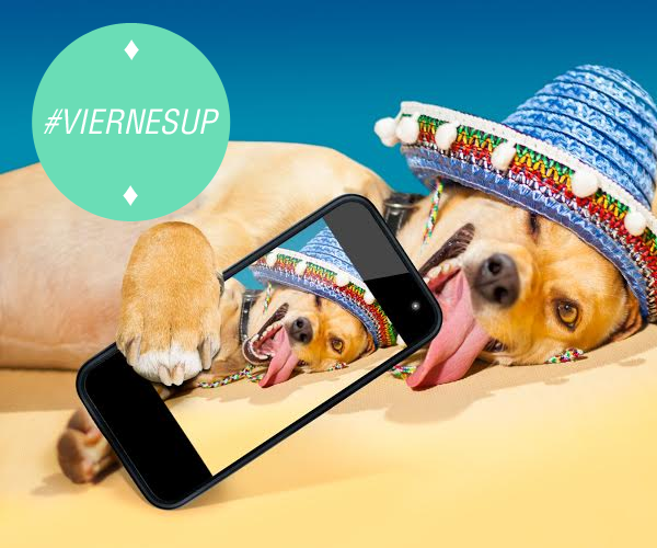 carrerasdc's tweet photo. Y llegoooooooo!!! #ViernesUP de Selfies 😜 ¡¡¡Buen Finde para TODOSSSSS!!! #viernes http://t.co/ZZwqlP1Hvn