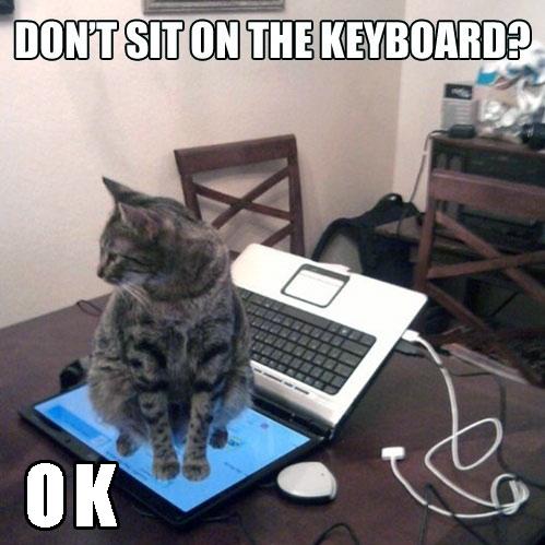 GeekyGet's tweet photo. Don't sit on the keyboard? http://t.co/SxwtyUnx1H