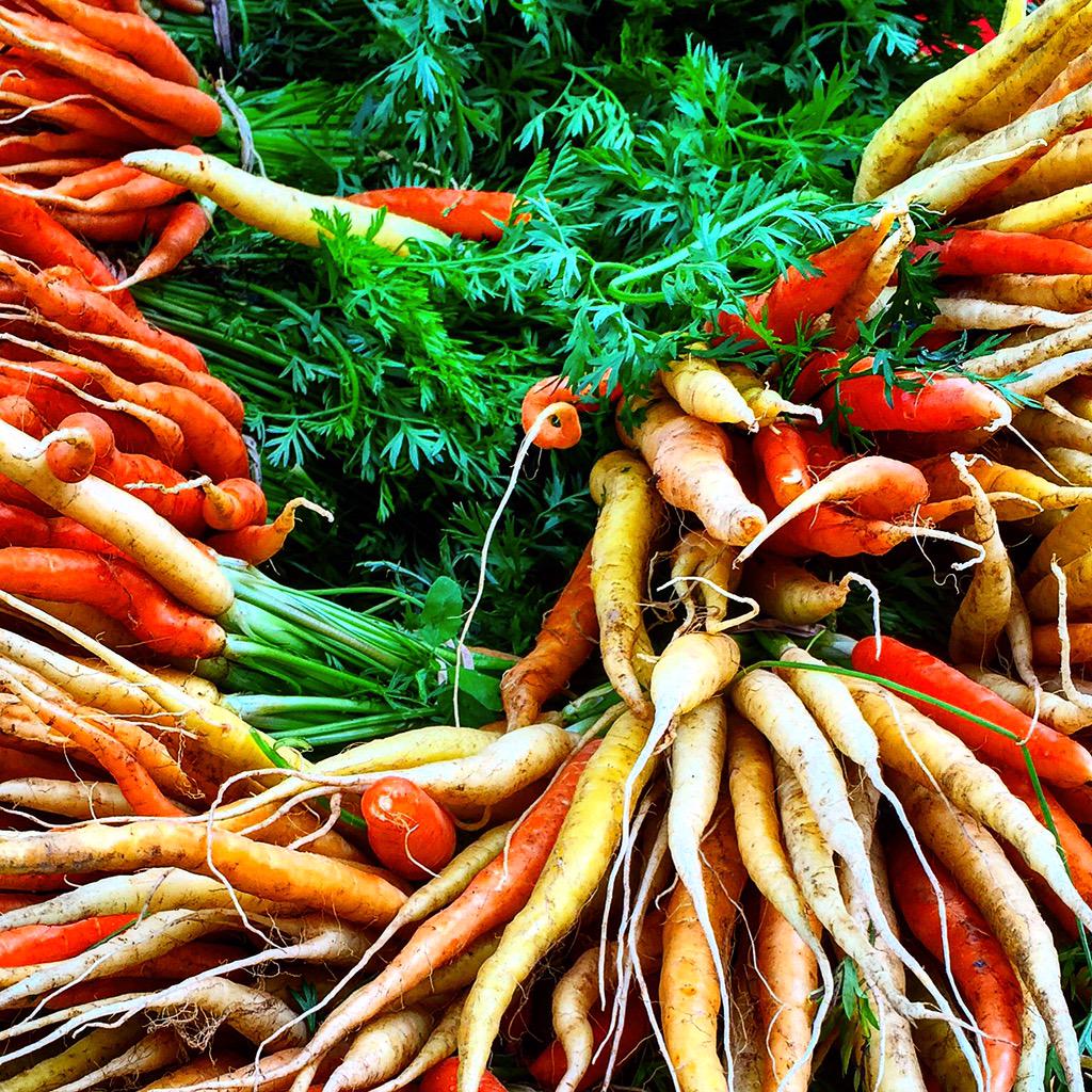 GROW2FEED's tweet photo. #Boston #FarmersMarket Today! @MAFarmMarkets #BuyLocal http://t.co/qV2NPOi1tT
