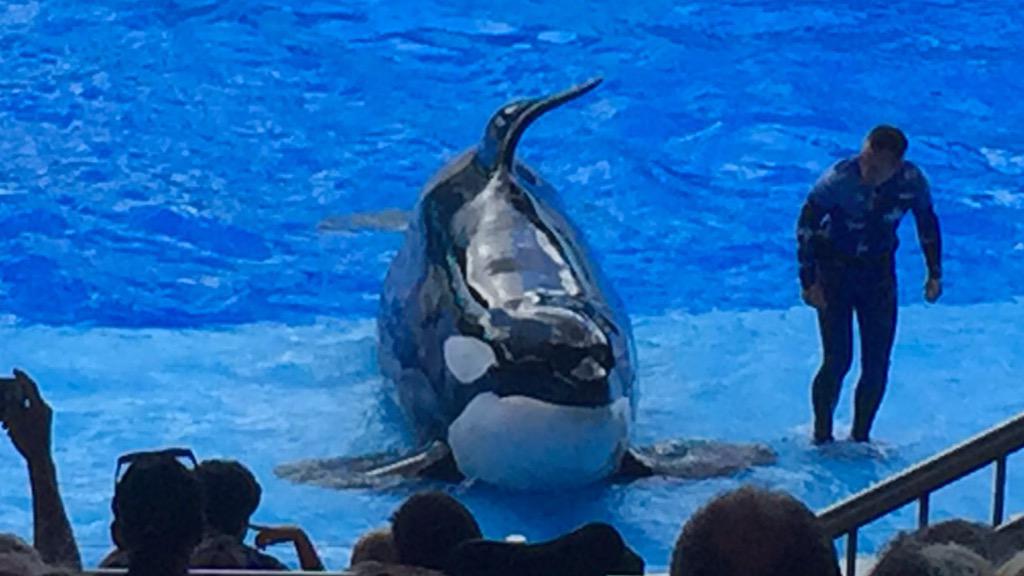 PPistone's tweet image. Tough break for Shamu today - three times through inspection #writtenwarning