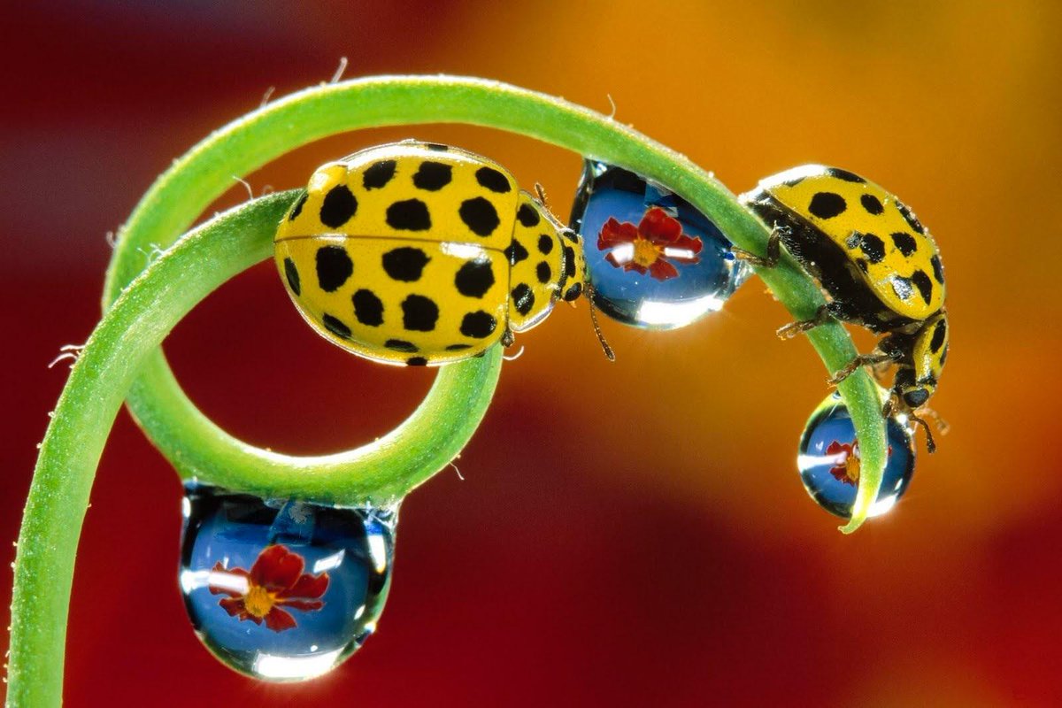 It's a easy to be a religious man but it's an art to be a good human.