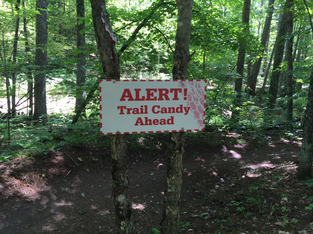 ChilkootMTB's tweet photo. Team Kooter will be at Cuyana this weekend trying to hold on to 1st place overall in Elite. @ChilkootCC http://t.co/dKUd8PWB0H