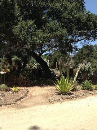 The Stanford Arboretum Grades 1-5 on Environmental Awarenis