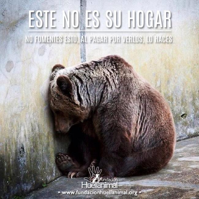 #DontSupportZoos #AnimalFreedom #LibertadAnimal #NoZoo