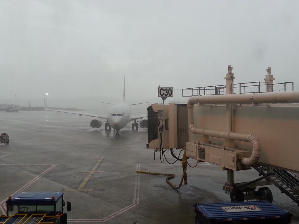 aabwh2's tweet photo. The rain is coming down in buckets now. And more lightning. #airlines #aviation #pilotlife #B737 #wx http://t.co/QfIHr0p5yl