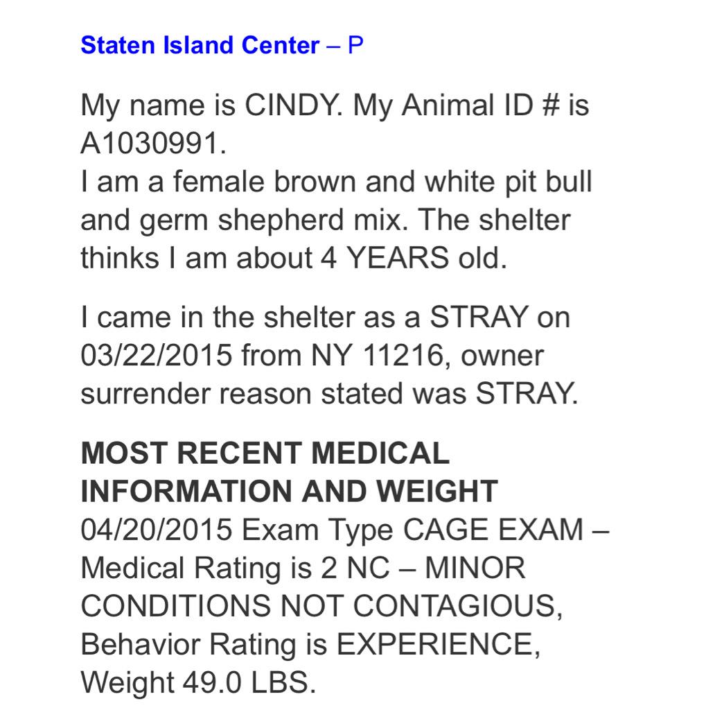 DogTreatNews's tweet photo. RT #WowThatstinks: http://t.co/CsbyrYP2xk RT ruthmen: PLS RT💔 to be killed 6/27😩pls HELP #ADOPT💥#PLEDGE💥#FOSTER💥… http://t.co/bynlkE1OqY