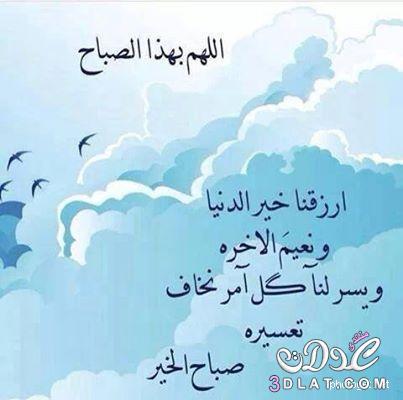 <a href="/shewail55/">مصر هي امي✪</a>