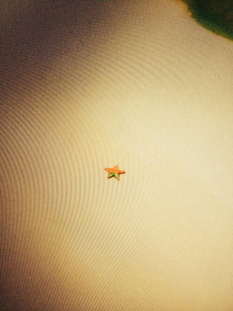 AlldatDerkyl's tweet photo. So @BoomBeach put Patrick star in boom beach @TeachBoomBeach @supercellgames http://t.co/2IKtg1QHMO
