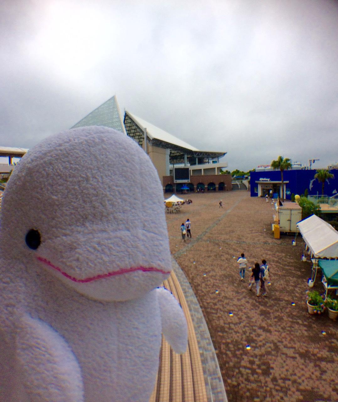 Twitter 上的 横浜 八景島シーパラダイス公式 八景島シーパラダイス おはようございます 6月27日の八景島の天気はくもり時々雨 折りたたみ傘などの準備をお忘れなく 本日もみなさまのご来島を心よりお待ちしております Yu O Http T Co Hgchs7lf5b Http