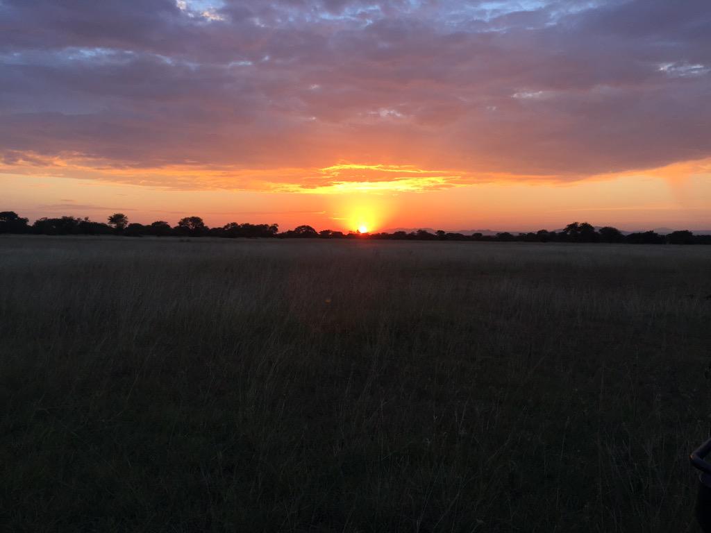 jessesingh's tweet image. Beautiful sunset over the #Serengeti. Wonderful #Tanzania