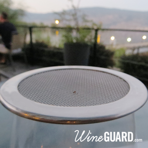 thewineguard's tweet image. Sorry little guy... no wine for you today!
#ByeByeFly
#WineGuard
#GuardYourWine