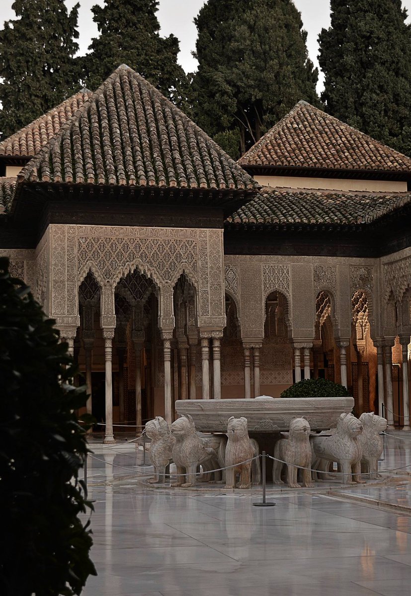 PlanesGranada's tweet photo. Patio de los Leones.. Foto de Cristobal Arco Fernández #planesgranada http://t.co/QKIkvZWCdA