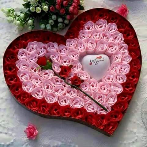 قلبي لكل احبابي