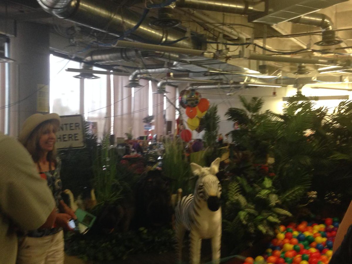 SHRMLaurie's tweet image. Zappos HR. It's a jungle. #zappostour