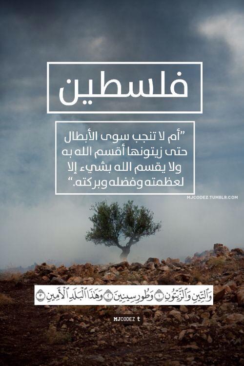 felastine0's tweet photo. #فلسطين 💓 http://t.co/lAlRtdl1hT