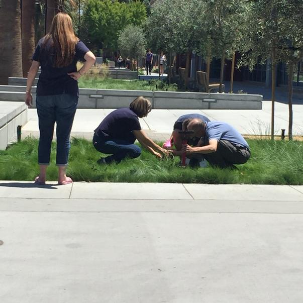 Mrsklgarcia's tweet photo. How many teachers does it take to launch a rocket??? @PLTWSJSU #pltwct15 http://t.co/jsz2MDs7IX