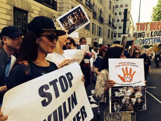 HuffPostUK's tweet photo. Mass protest outside Chinese Embassy shows it's not just @rickygervais who wants to #EndYulin http://t.co/OIN6gw6CUA http://t.co/EIGBUNdcIO