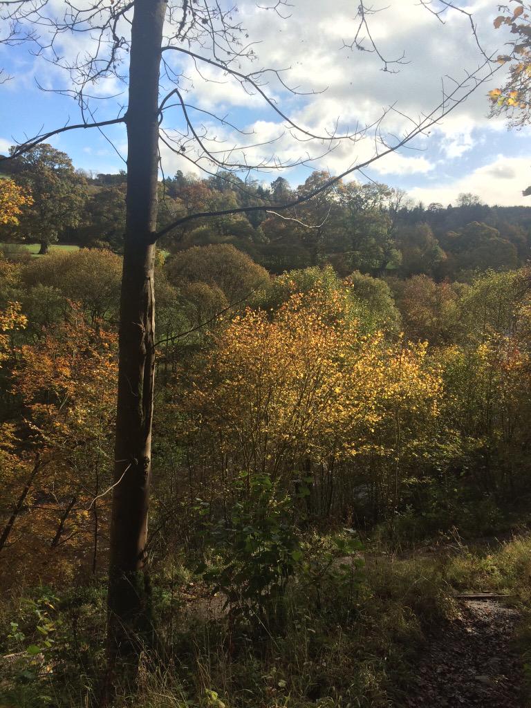 LakeObsessed's tweet photo. Alan Banks in Autumn. Take me back? #alanbanks #nature #nationaltrust #england #countryside http://t.co/8Vbeh5IvAX