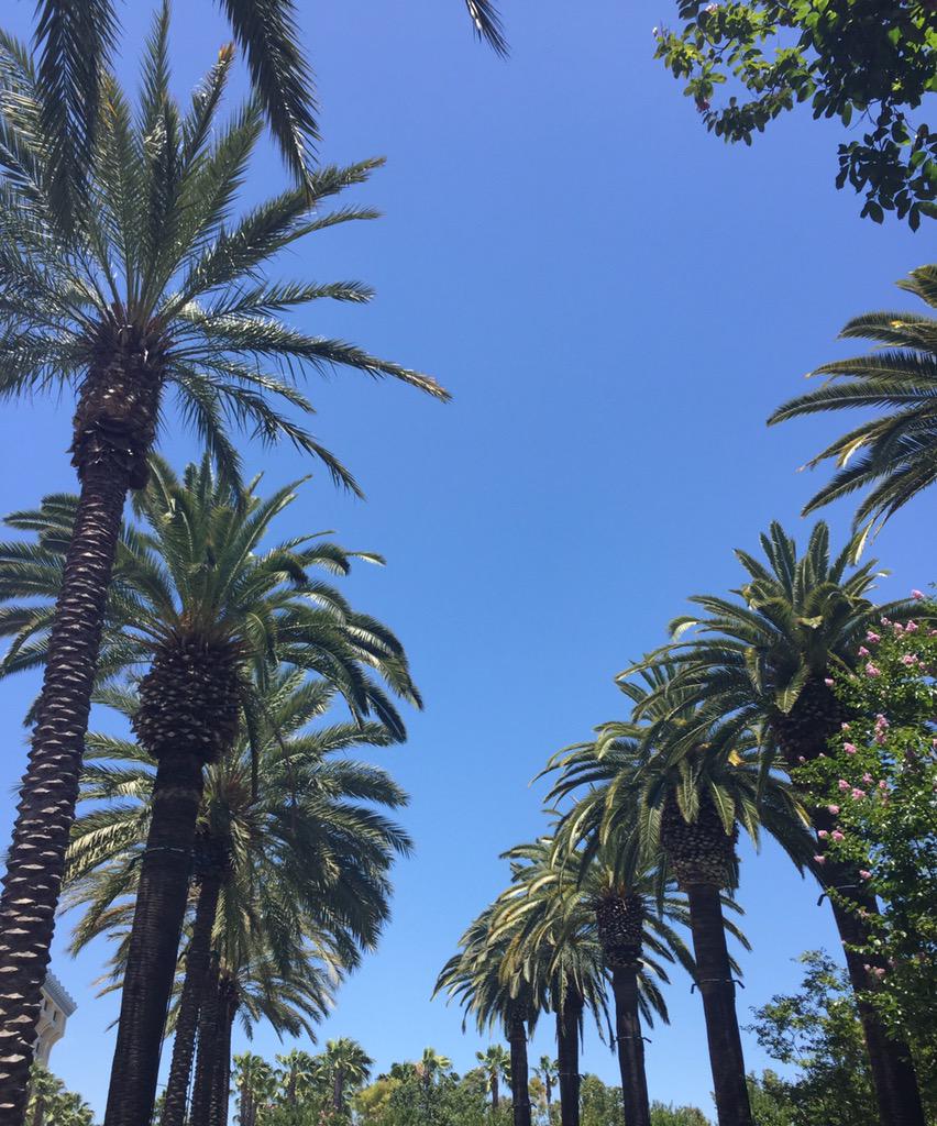 gtisha10's tweet photo. #Califever 👅 http://t.co/JouAUjXx0R