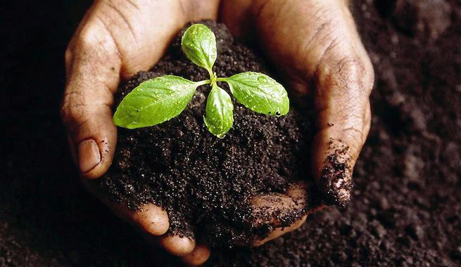 revistascape's tweet image. #EscapeTips Plantando un árbol ayudas a contrarrestar la contaminación del aire #EcoTurismo