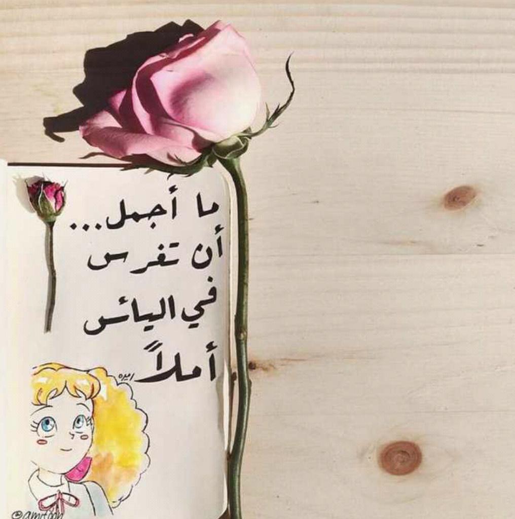 nalkr1402gmail6's tweet photo. http://t.co/xApJSQddDh